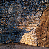 JAYL - Song For Bowie (Delighted)